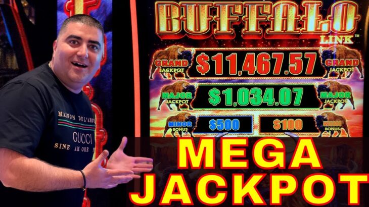 My LARGEST JACKPOT On Buffalo Link Slot Machine – Almost GRAND JACKPOT