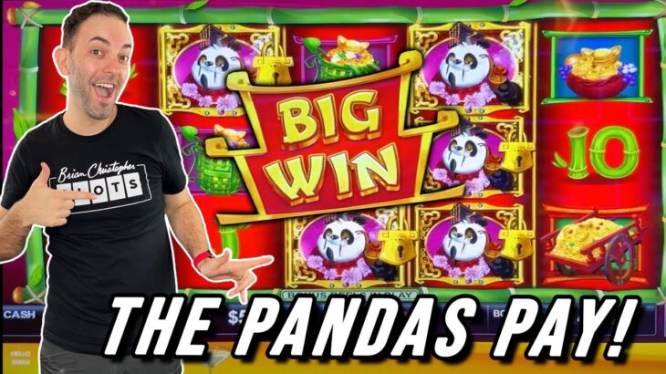 💲 The Pandas PAY in Washington 🐼 $5 to $25 a Spin ➤ Ilani Casino