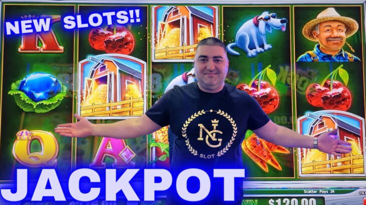 I Won JACKPOT On NEW SLOTS At Casino – Live Gambling
