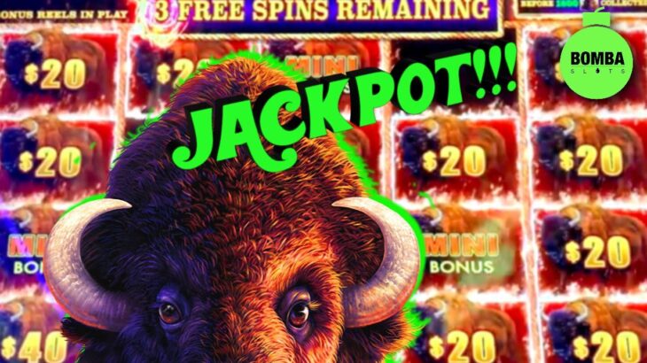 BUFFALOOOO JACKPOT!!! #LasVegas #Casino #SlotMachine