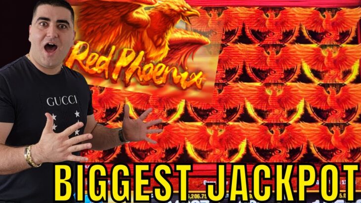 BIGGEST JACKPOT On YouTube For Red Phoenix Slot
