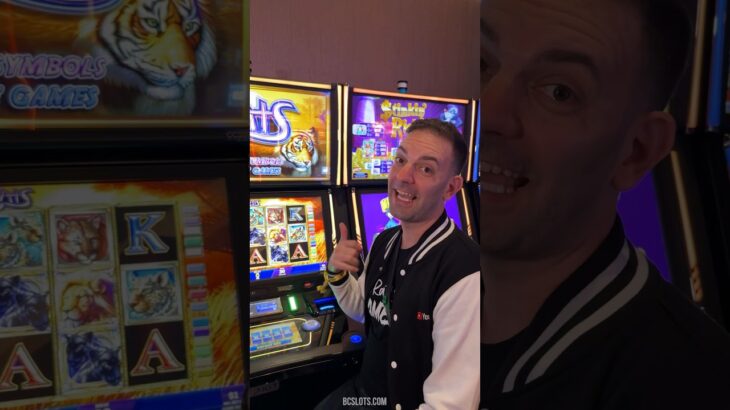 High Limit CATS! #Slots #Casino #Vegas