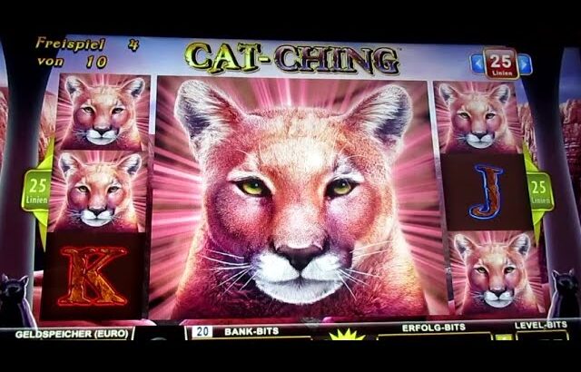 Alles mit dabei! Automaten einmal queer DURCHGEZOGEN! Jackpotjagd im Casino!