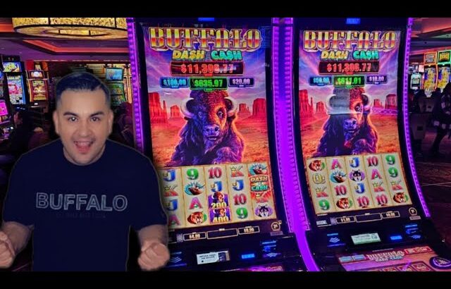 💥 Me Arriesgue en el Casino con 2 Maquinas de Buffalo en Busca de los Mejores Juegos Gratis 🎰