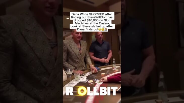 Dana SNAPS at Steve🥴#dana #stevewilldoit #danawhite #slots #blackjack #casino #gambling
