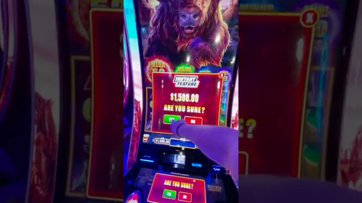$1500 BET on BUFFALO Power Pay 👀🦬
