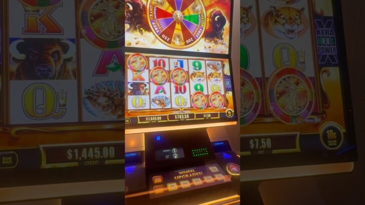 SUPER RARE 5 COINS ON BUFFALO GOLD REVOLUTION SLOT!! #slots #casino #jackpot #gambling #slot #vegas
