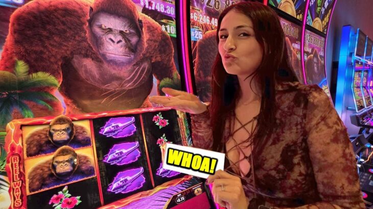 New Game, New Rules, No Mercy – The Casino Didn’t See This Coming!