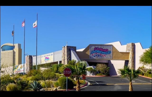 LIVE SLOTS..LETS GOBBLE SOME WINS ‼️😝#viralvideo #shortsfeed #casino #dirtydiana