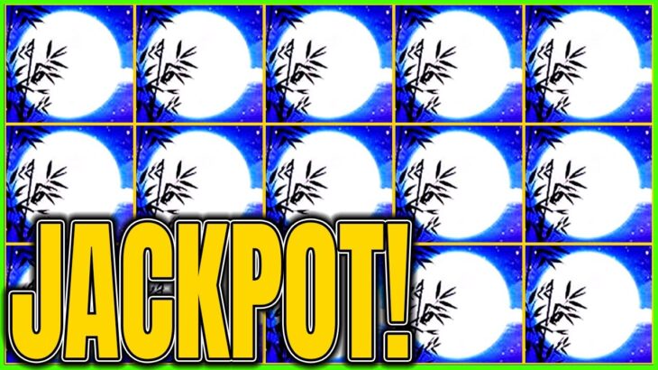 I I Predicted THIS JACKPOT and Left WIFE SPEECHLESS! Autumn Moon Dragon Link Slot