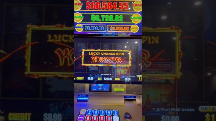 I have a TERRIBLE idea! #gambling #casino #money #comedy #slots