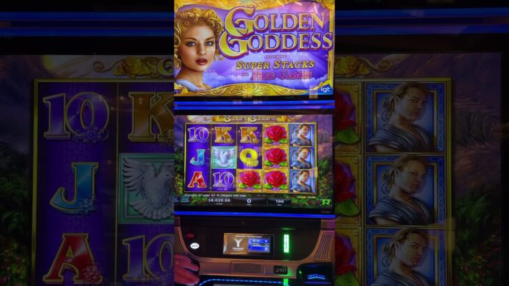 Day 79: Betting $1 Million to WIN $1 Million #casino #slot #jackpot