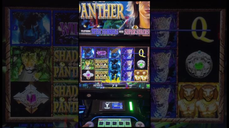 Day 89: Betting $1 Million to WIN $1 Million #casino #slot #bonus #jackpot