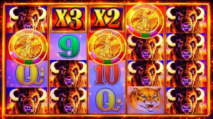 HOTTEST BUFFALO IN THE CASINO PAID HUGE