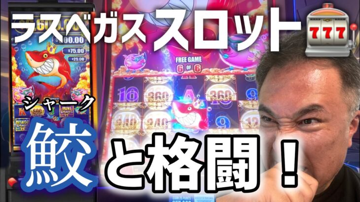 【スロット最新機種】ラスベガス本番カジノ実況/ 鮫（サメ）との格闘が始まる?!