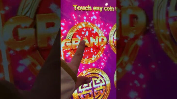 OMG.. We Just DESTROYED IT…………. #casino #gambling #slot #viral