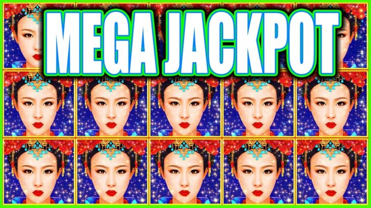 I Was Walking Away Then She Hit This MEGA JACKPOT on Million Dollar Dragon Link Slots